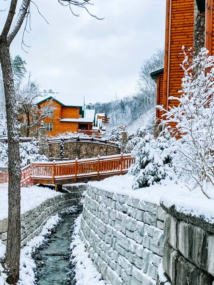 Accommodations photo 1